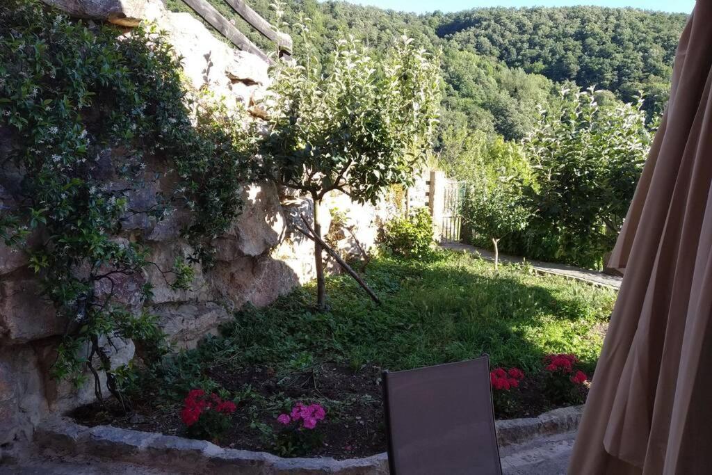 Ferienwohnung El Mirador De Cobena Ii. Aires De Liebana En Picos Exterior foto